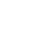 Bolt Bison