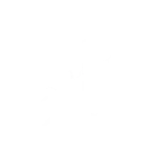 Bolt Bison